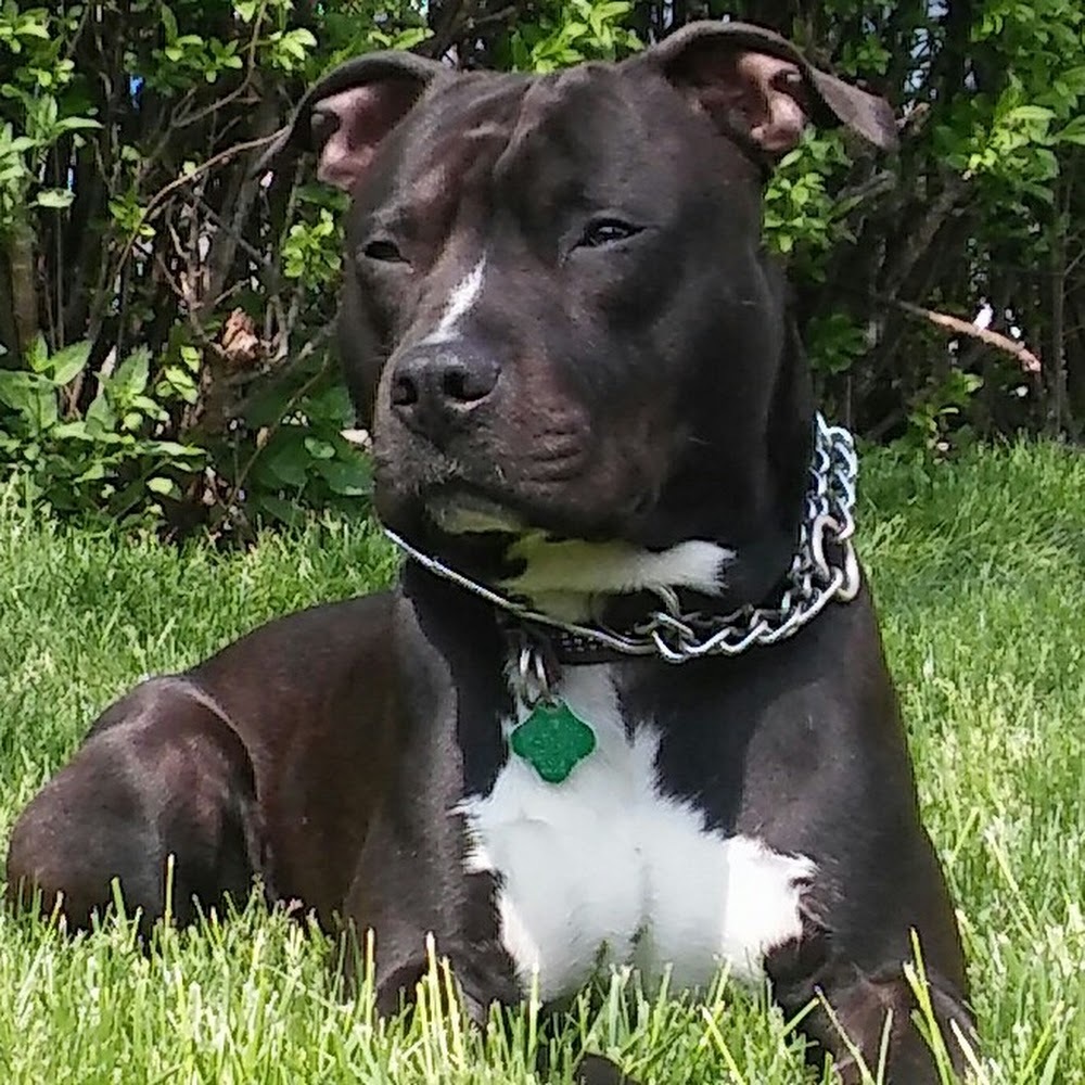 Meet your Posher, Redeyeofjupiter